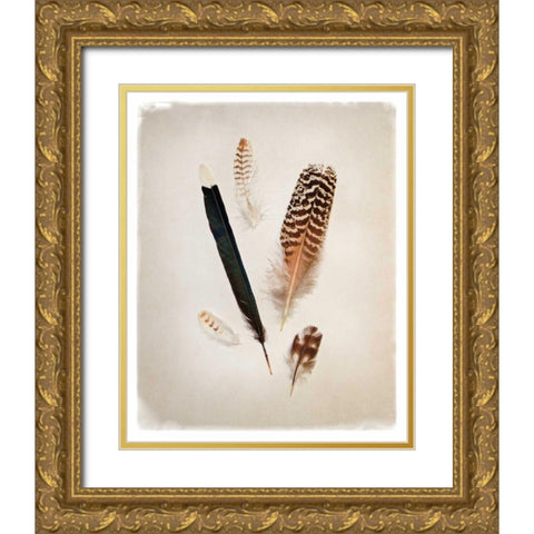 Feather Group II Gold Ornate Wood Framed Art Print with Double Matting by Van Swearingen, Debra