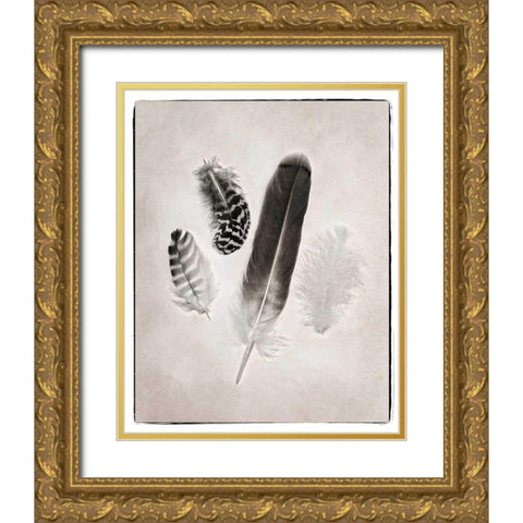Feather Group I BW Gold Ornate Wood Framed Art Print with Double Matting by Van Swearingen, Debra