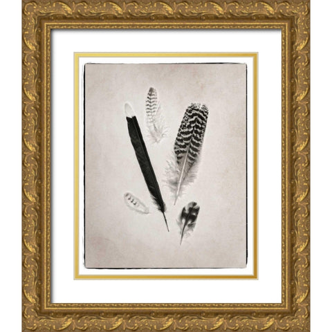 Feather Group II BW Gold Ornate Wood Framed Art Print with Double Matting by Van Swearingen, Debra