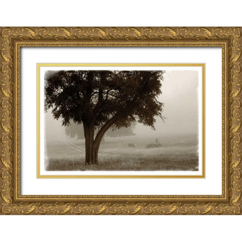 Calm Mist no Limb Gold Ornate Wood Framed Art Print with Double Matting by Van Swearingen, Debra