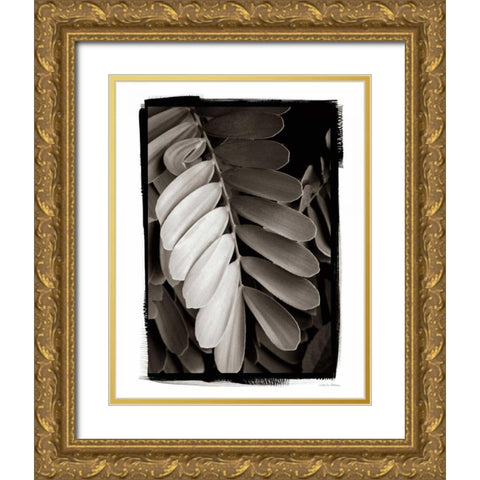 Tropical Plant I Gold Ornate Wood Framed Art Print with Double Matting by Debra, Van Swearingen
