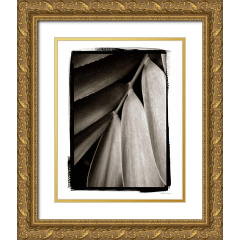 Tropical Plant II Gold Ornate Wood Framed Art Print with Double Matting by Debra, Van Swearingen