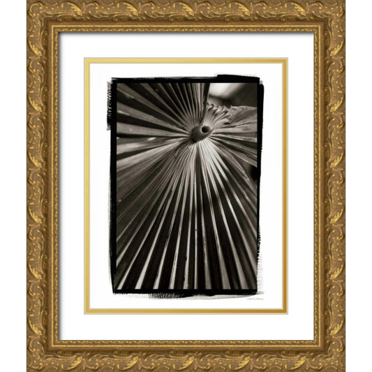 Perspective Image