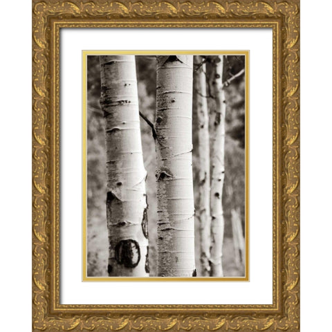 Aspens I Gold Ornate Wood Framed Art Print with Double Matting by Van Swearingen, Debra
