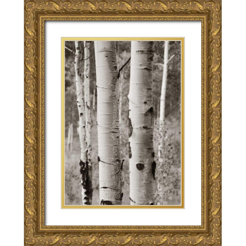 Aspens II Gold Ornate Wood Framed Art Print with Double Matting by Van Swearingen, Debra