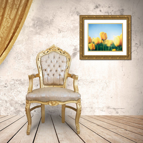 Sunny Blooms III Gold Ornate Wood Framed Art Print with Double Matting by Urquhart, Elizabeth
