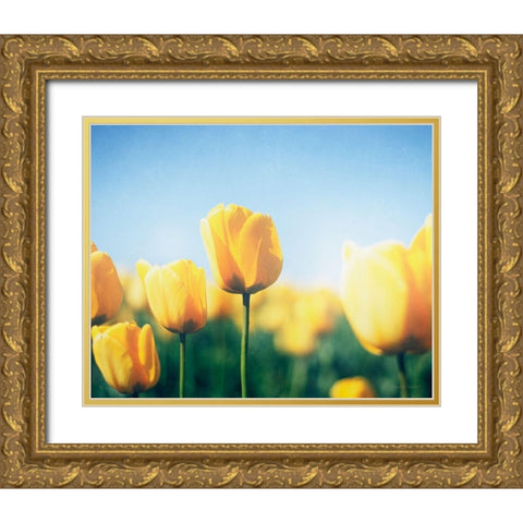 Sunny Blooms III Gold Ornate Wood Framed Art Print with Double Matting by Urquhart, Elizabeth