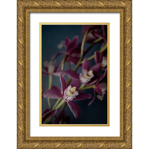 Dark Orchid III Gold Ornate Wood Framed Art Print with Double Matting by Urquhart, Elizabeth