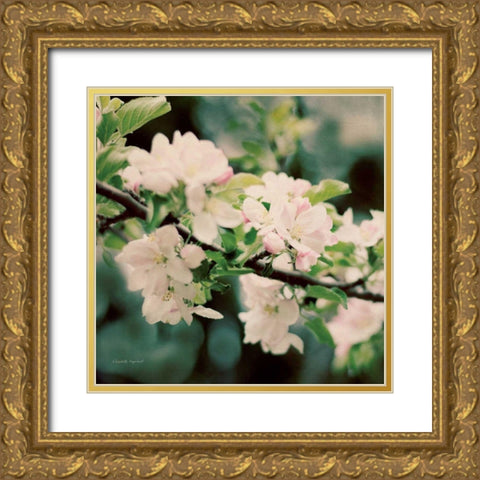 Apple Blossoms I Crop Gold Ornate Wood Framed Art Print with Double Matting by Urquhart, Elizabeth