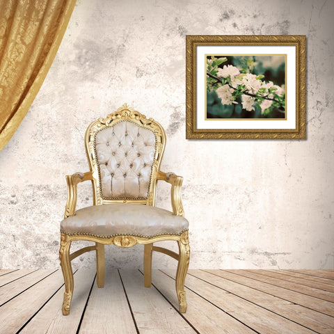 Apple Blossoms I Gold Ornate Wood Framed Art Print with Double Matting by Urquhart, Elizabeth