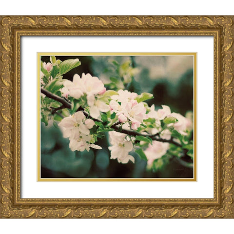 Apple Blossoms I Gold Ornate Wood Framed Art Print with Double Matting by Urquhart, Elizabeth