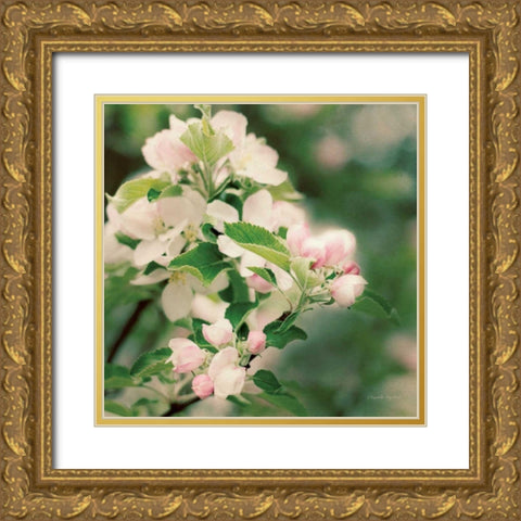 Apple Blossoms II Crop Gold Ornate Wood Framed Art Print with Double Matting by Urquhart, Elizabeth