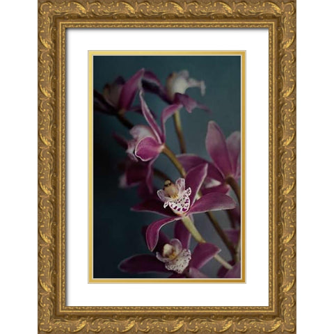 Dark Orchid IV v.2 Gold Ornate Wood Framed Art Print with Double Matting by Urquhart, Elizabeth