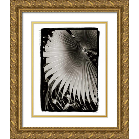 Palm Frond II v2 Gold Ornate Wood Framed Art Print with Double Matting by Debra, Van Swearingen
