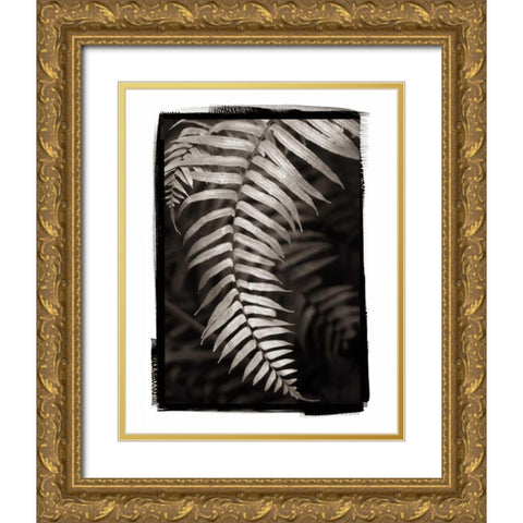Fern II v2 Gold Ornate Wood Framed Art Print with Double Matting by Van Swearingen, Debra