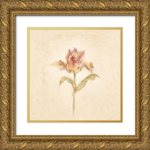 Zoomer Schoon Tulip on White Crop Gold Ornate Wood Framed Art Print with Double Matting by Blum, Cheri