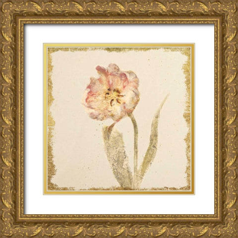 Vintage May Wonder Tulip Crop Gold Ornate Wood Framed Art Print with Double Matting by Blum, Cheri