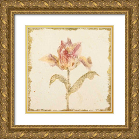 Vintage Zoomer Schoon Tulip Crop Gold Ornate Wood Framed Art Print with Double Matting by Blum, Cheri
