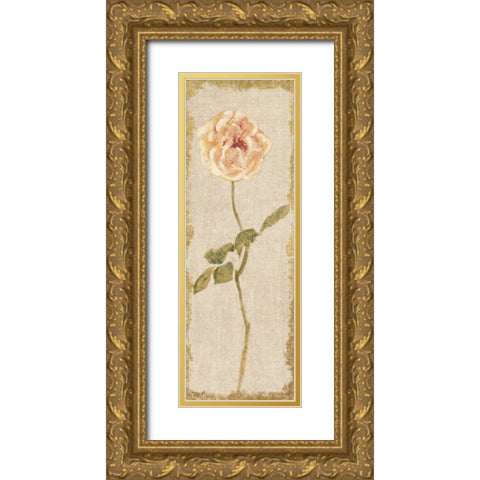 Pale Rose Panel on White Vintage Gold Ornate Wood Framed Art Print with Double Matting by Blum, Cheri