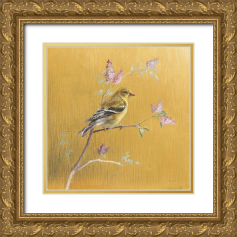 Female Goldfinch on Gold Gold Ornate Wood Framed Art Print with Double Matting by Nai, Danhui