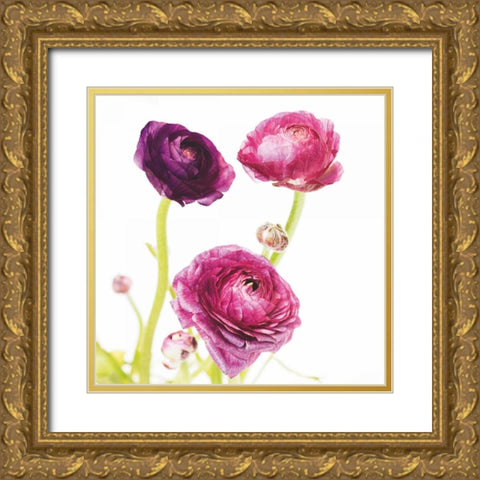 Spring Ranunculus I Gold Ornate Wood Framed Art Print with Double Matting by Marshall, Laura