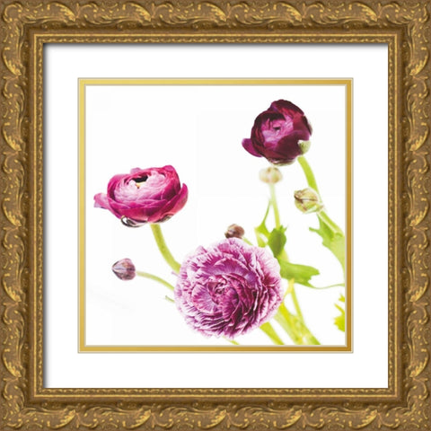Spring Ranunculus II Gold Ornate Wood Framed Art Print with Double Matting by Marshall, Laura