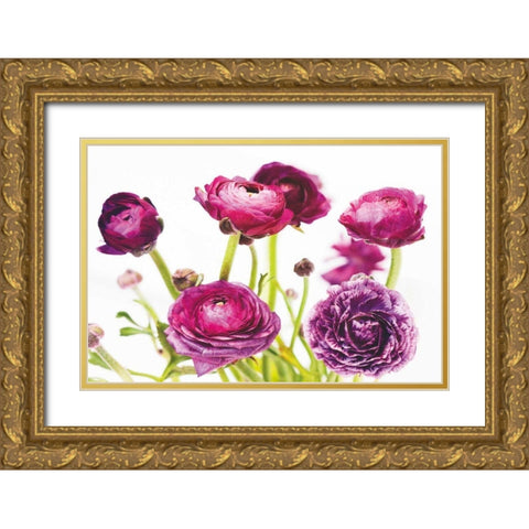 Spring Ranunculus III Gold Ornate Wood Framed Art Print with Double Matting by Marshall, Laura