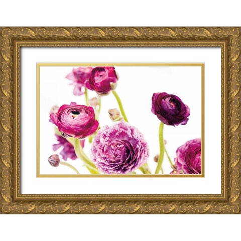 Spring Ranunculus IV Gold Ornate Wood Framed Art Print with Double Matting by Marshall, Laura