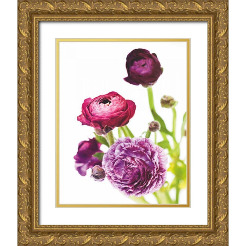 Spring Ranunculus VI Gold Ornate Wood Framed Art Print with Double Matting by Marshall, Laura