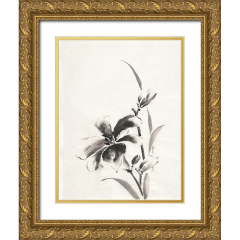 Sumi Daylily IV Gold Ornate Wood Framed Art Print with Double Matting by Paschke, Chris
