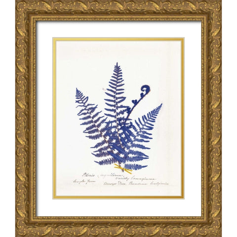 Botanical Fern IV Blue Light Gold Ornate Wood Framed Art Print with Double Matting by Wild Apple Portfolio