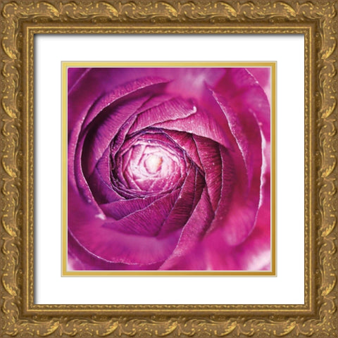 Ranunculus Abstract I Color Gold Ornate Wood Framed Art Print with Double Matting by Marshall, Laura