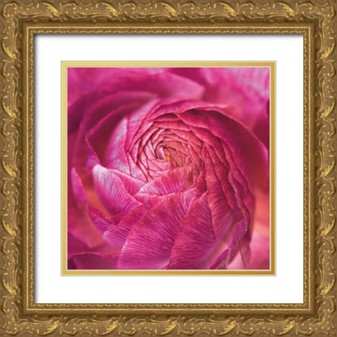 Ranunculus Abstract II Color Gold Ornate Wood Framed Art Print with Double Matting by Marshall, Laura