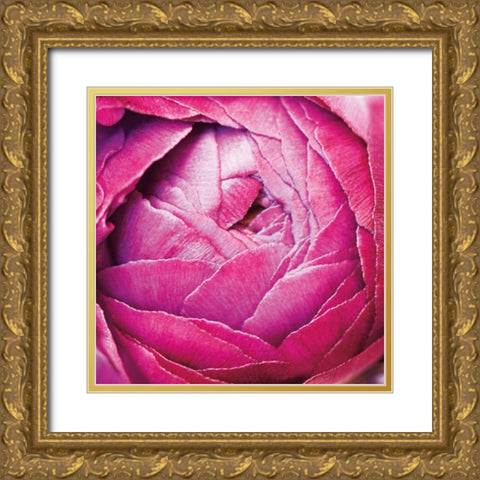 Ranunculus Abstract III Color Gold Ornate Wood Framed Art Print with Double Matting by Marshall, Laura