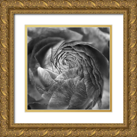 Ranunculus Abstract II BW Gold Ornate Wood Framed Art Print with Double Matting by Marshall, Laura