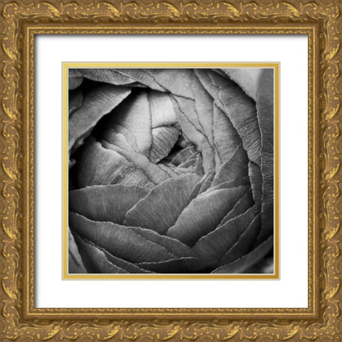 Ranunculus Abstract III BW Gold Ornate Wood Framed Art Print with Double Matting by Marshall, Laura