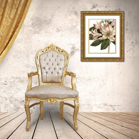 Botanique III no Words Gold Ornate Wood Framed Art Print with Double Matting by Wild Apple Portfolio