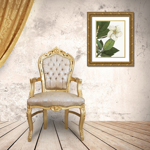 Botanique Bleu III  on White no Words Gold Ornate Wood Framed Art Print with Double Matting by Wild Apple Portfolio