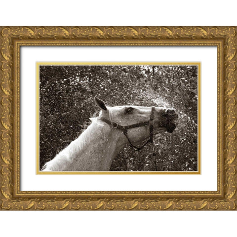After a Shower Gold Ornate Wood Framed Art Print with Double Matting by Dratfield, Jim