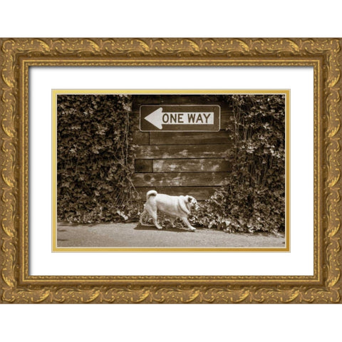 Which Way Gold Ornate Wood Framed Art Print with Double Matting by Dratfield, Jim