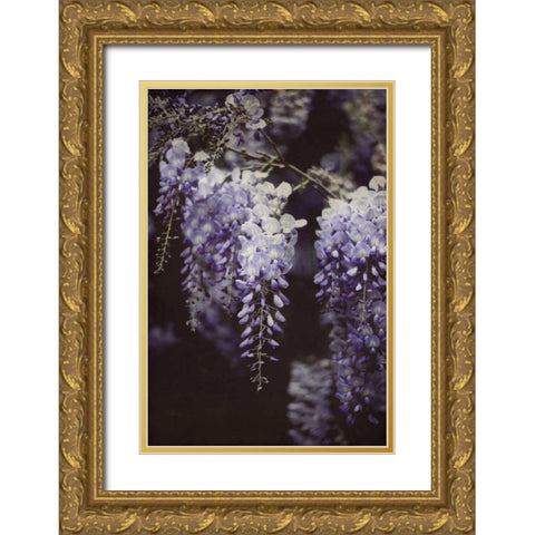 Wisteria Cascade I Gold Ornate Wood Framed Art Print with Double Matting by Urquhart, Elizabeth