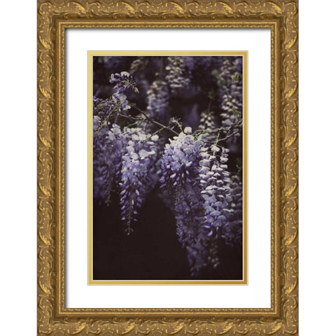 Wisteria Cascade II Gold Ornate Wood Framed Art Print with Double Matting by Urquhart, Elizabeth