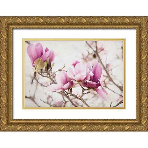 Spring is In the Air III Gold Ornate Wood Framed Art Print with Double Matting by Urquhart, Elizabeth