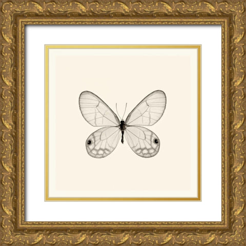Butterfly I BW Crop Gold Ornate Wood Framed Art Print with Double Matting by Van Swearingen, Debra