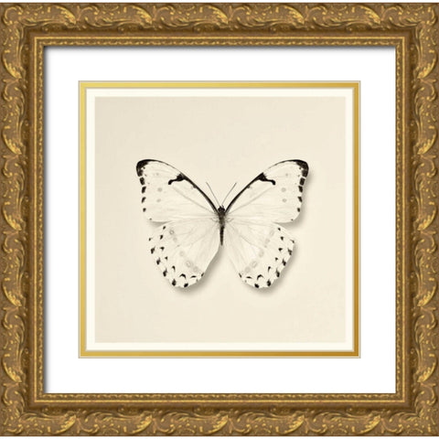 Butterfly II BW Crop Gold Ornate Wood Framed Art Print with Double Matting by Van Swearingen, Debra