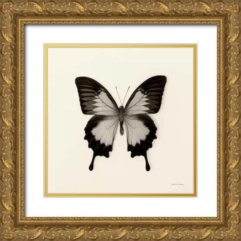Butterfly III BW Crop Gold Ornate Wood Framed Art Print with Double Matting by Van Swearingen, Debra