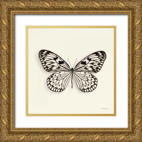 Butterfly V BW Crop Gold Ornate Wood Framed Art Print with Double Matting by Van Swearingen, Debra