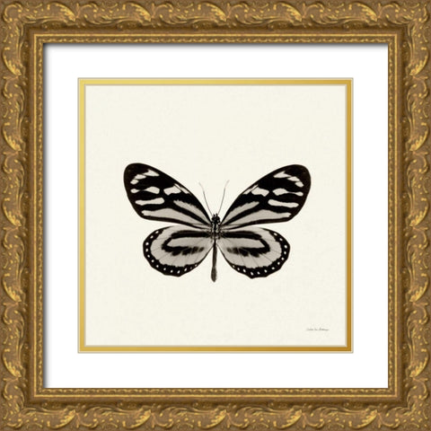 Butterfly VIII BW Crop Gold Ornate Wood Framed Art Print with Double Matting by Van Swearingen, Debra