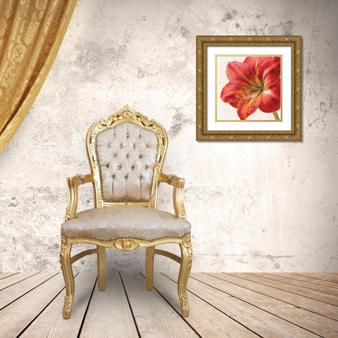 Vivid Amaryllis Gold Ornate Wood Framed Art Print with Double Matting by Nai, Danhui