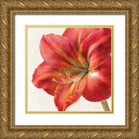 Vivid Amaryllis Gold Ornate Wood Framed Art Print with Double Matting by Nai, Danhui